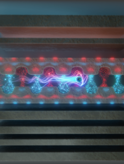 Zum Artikel "Photonen-Quantenstatistik auf freie Elektronen aufgeprägt – veröffentlicht in Science"