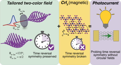 Zum Artikel "Untersuchung von gebrochener Zeitumkehrsymmetrie in 2D-Materialien mittels Photostromerzeugung mit maßgeschneiderten Lichtfeldern – neue Veröffentlichung in ACS Nano"